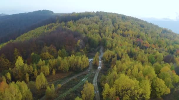 乌克兰 喀尔巴阡山脉 外喀尔巴阡山脉 秋天里刮风的天气 白桦树失去了最后的叶子 远山覆盖着红色山毛榉林 — 图库视频影像