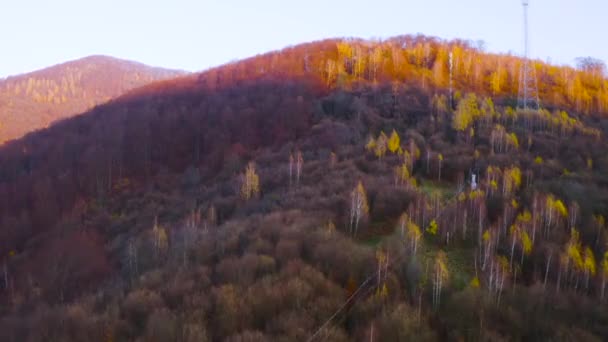 Ukraina Karpaty Zakarpacie Wietrzny Jesienny Dzień Gaj Brzozowy Tracący Ostatnie — Wideo stockowe