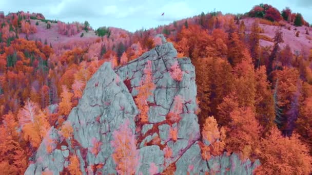 Vista Pájaro Los Cárpatos Otoño Ucrania Enormes Rocas Dispersas Pintorescamente — Vídeos de Stock