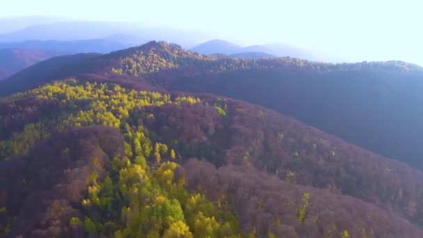 乌克兰 喀尔巴阡山脉 外喀尔巴阡山脉 秋天里刮风的天气 白桦树失去了最后的叶子 远山覆盖着红色山毛榉林 — 图库视频影像