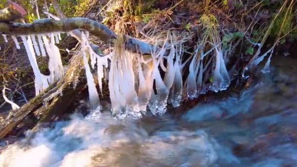 Karpatlar Ilkbaharda Kar Buzulların Eridiği Bir Dağ Nehrinin Hızlı Mırıldanan — Stok video