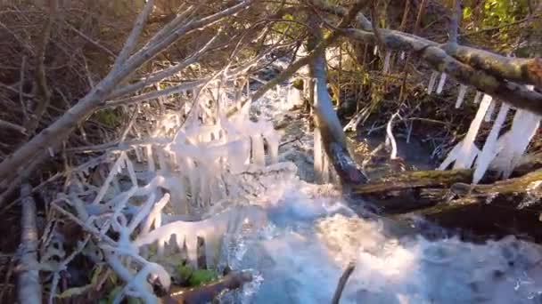 Быстрый Чистый Ропот Воды Горной Реки Карпатах Весной Тают Снег — стоковое видео