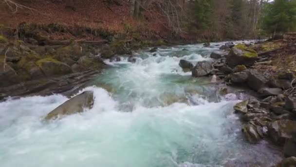Καθαρό Ποτάμι Βουνό Από Λιωμένο Χιόνι Και Σμαραγδένιο Χρώμα Νερό — Αρχείο Βίντεο
