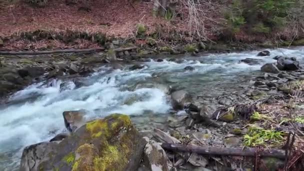 Rio Montanha Clara Neve Derretida Ecom Água Cor Esmeralda Nas — Vídeo de Stock