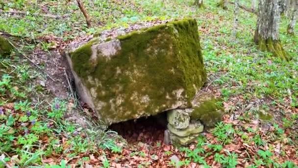 카르파티안 오스트리아 헝가리에서 Arpad 우크라이나 Transcarpathia의 숲에서 오래된 트렌치와 Embrasure와 — 비디오
