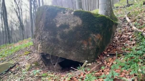第一次世界大戦パッドラインは 現在ウクライナ オーストリア ハンガリーのカルパチア人である トランスカルパシアのブナの森では 古いトレンチや掘削 強化されたコンクリート六角形の小さなピルボックス — ストック動画