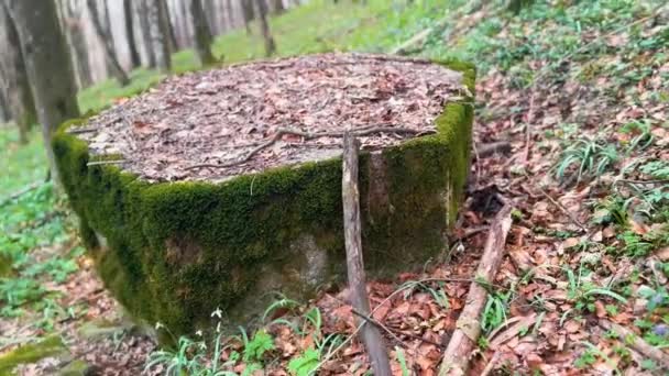 카르파티안 오스트리아 헝가리에서 Arpad 우크라이나 Transcarpathia의 숲에서 오래된 트렌치와 Embrasure와 — 비디오