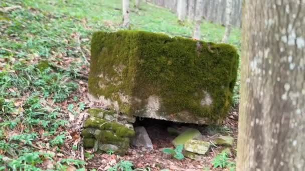 第一次世界大戦パッドラインは 現在ウクライナ オーストリア ハンガリーのカルパチア人である トランスカルパシアのブナの森では 古いトレンチや掘削 強化されたコンクリート六角形の小さなピルボックス — ストック動画