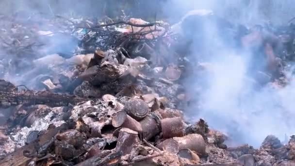 ハツル山地 カルパチア人の地元住民は 廃棄物をリサイクルして街の外に燃やしたり 環境に非常に悪い川に投げ込むことができません — ストック動画