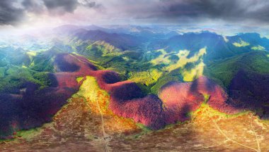 drone flies over a spring Carpathian peak with an interesting phenomenon - the mountain forest on the mountain is green up to a certain height, and above without leaves clipart