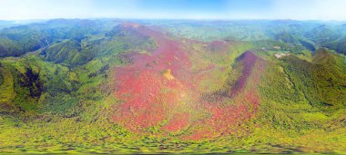 drone flies over a spring Carpathian peak with an interesting phenomenon - the mountain forest on the mountain is green up to a certain height, and above without leaves clipart
