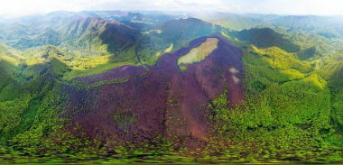 drone flies over a spring Carpathian peak with an interesting phenomenon - the mountain forest on the mountain is green up to a certain height, and above without leaves clipart