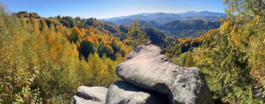 The Sokilsky ridge in the Carpathians is especially beautiful in autumn. its ancient cliffs among beech and birch forests are mesmerizing from a bird's eye view clipart