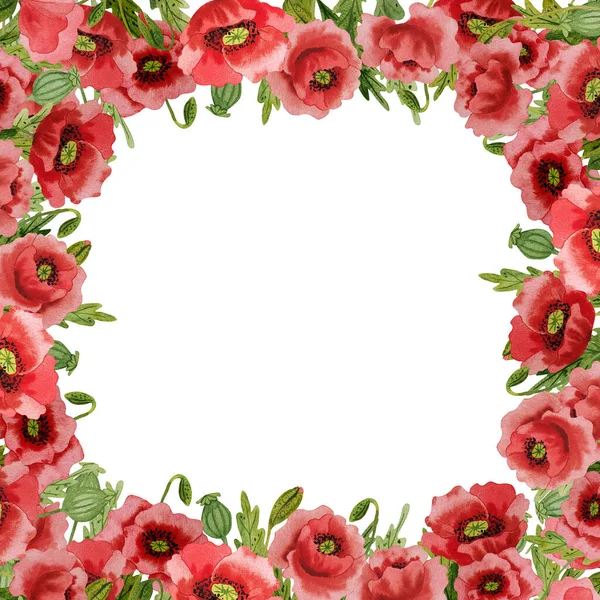 Υδατογραφία Κόκκινο Παπαρούνες Απομονωμένο Πλαίσιο Χειροποίητη Εικονογράφηση Κόκκινα Λουλούδια Λιβαδιού — Φωτογραφία Αρχείου