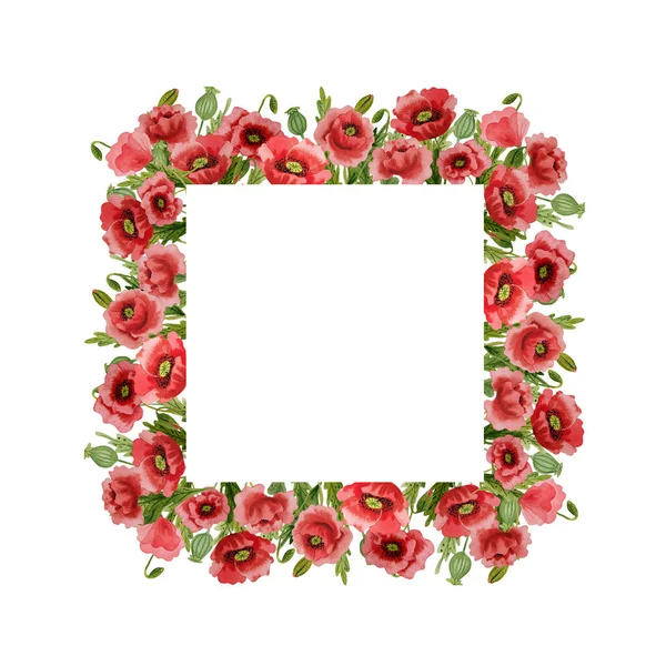 Υδατογραφία Κόκκινο Παπαρούνες Απομονωμένο Πλαίσιο Χειροποίητη Εικονογράφηση Κόκκινα Λουλούδια Λιβαδιού — Φωτογραφία Αρχείου