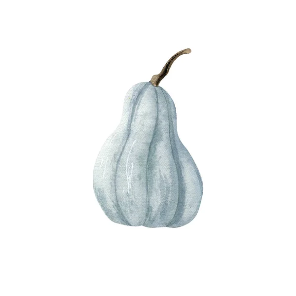 Akwarela Ręcznie Rysowane Niebieskie Dyni Ilustracji Jesienny Klip — Zdjęcie stockowe