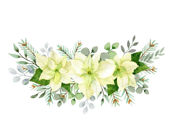 Akwarela Boże Narodzenie Kwiaty Układ Biała Poinsecja Gałązki Świerku Zieleń — Zdjęcie stockowe