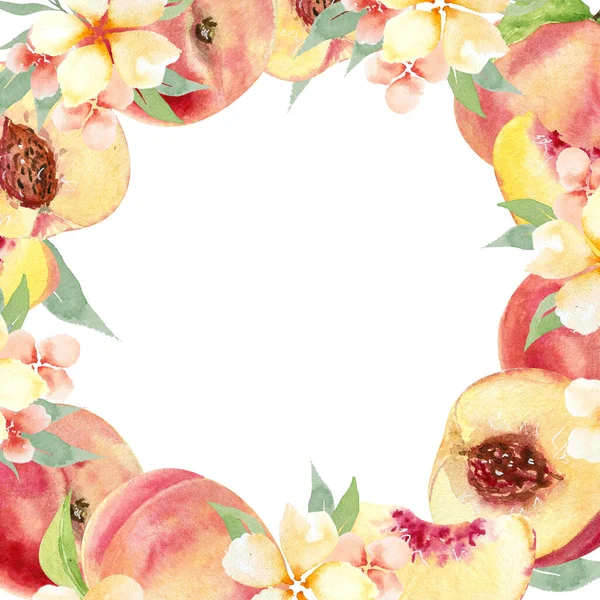 Akwarela Strony Rysunek Brzoskwinie Owoce Kwiaty Kwadratowe Ramki Akwarela Strony — Zdjęcie stockowe