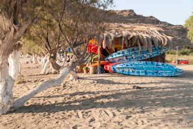 A vibrant and inviting beach scene features a rustic wooden structure with a palm-thatched roof, surrounded by a colourful stack of kayaks and paddle boards. In the foreground stands a lone tree bathed in the warm summer afternoon sun. clipart