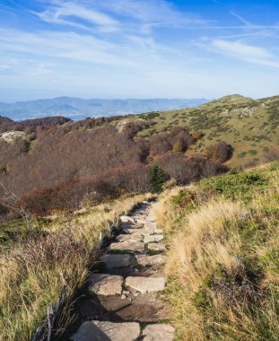 Zirveye giden güzel bir dağ yolu. Fransa 'daki Alp dağlarının zirvesine çıkan taş basamaklar.