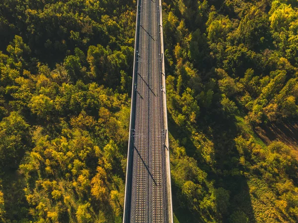 Luchtfoto Van Spoorlijnen Voor Hogesnelheidstreinen Viaduct Panoramisch Herfstzicht Omliggende Velden — Stockfoto