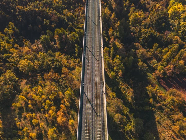 高架上の高速列車のための鉄道線路の空中ビュー 周囲の畑や森 周囲の山々のパノラマの秋の景色 — ストック写真