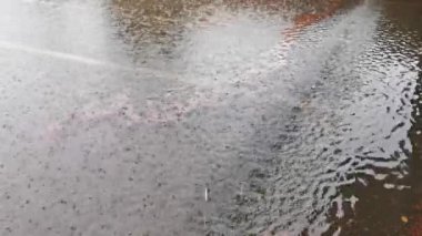 Yağmurlu bir kış gününde su birikintisine düşen yağmur damlaları, hava koşulları