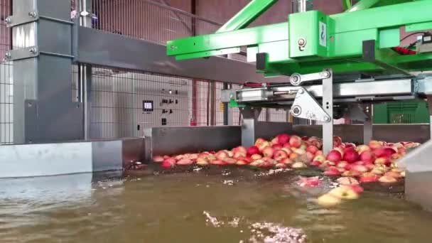 Industrial Machine Emptying Crates Apples Pool Full Water Agriculture Machine — Vídeo de stock