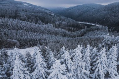 Aerial view of beautiful winter forest scenery