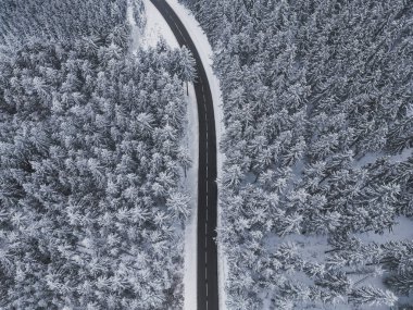 Snow-covered trees in the forest and asphalt road line in the mountains. Winter landscape in the mountains. Aerial drone panoramic photo.
