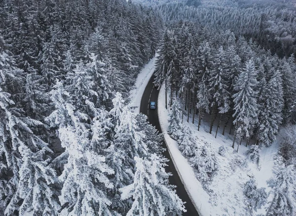 Snow-covered trees in the forest and cars on the road line in the mountains. Winter landscape in the mountains. Aerial drone panoramic photo.