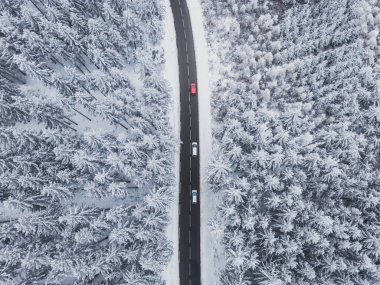 Snow-covered trees in the forest and cars on the road line in the mountains. Winter landscape in the mountains. Aerial drone panoramic photo.