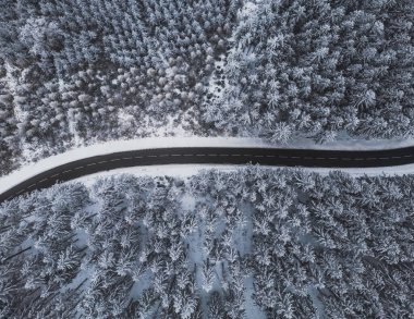 Snow-covered trees in the forest and asphalt road line in the mountains. Winter landscape in the mountains. Aerial drone panoramic photo.