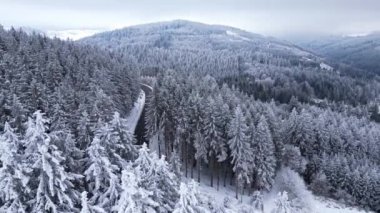 Ormandaki dağların panoramik kış drone görüntüsü. Sinematik kış karlı kırsal asfalt yolu. Karlı ormanda giden arabalar. Karla kaplı ormanlar. Sinema banliyösü manzarası.