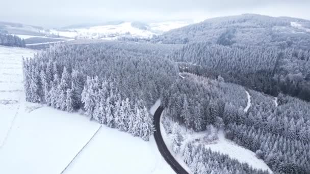 森の中の山々のパノラマの冬のドローンビュー 映画の冬の雪の農村アスファルトの道路 車は雪の森を通って運転する 雪に覆われた森 映画的な郊外の風景 — ストック動画