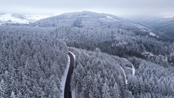 Panoramiczny Widok Góry Lesie Zima Kinowa Śnieżna Wiejska Droga Asfaltowa — Wideo stockowe