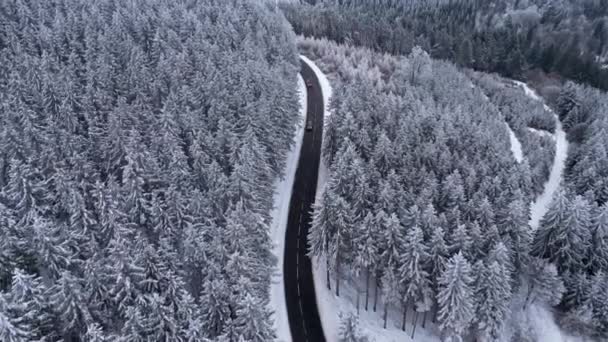 全景冬季无人俯瞰森林中的群山 电影般的冬季雪地乡村沥青路 汽车驶过白雪覆盖的森林 被雪覆盖的森林 一个电影郊区的风景 — 图库视频影像