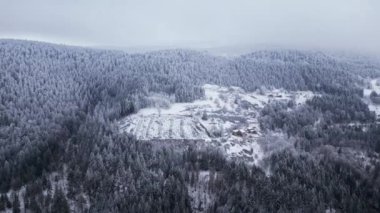 Ormandaki dağların panoramik kış drone görüntüsü. Sinema kışı karlı ormanı. Karla kaplı ormanlar. Sinema banliyösü manzarası.