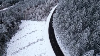 Panoramic winter view from above over the forest. Cinematic winter snowy rural asphalt road with cars driving through snowy forest. Forests covered with snow. Cinematic winter frosty landscape.