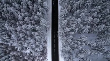 Panoramic winter view from above over the forest. Cinematic winter snowy rural asphalt road with cars driving through snowy forest. Forests covered with snow. Cinematic winter frosty landscape.