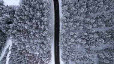 Panoramic winter view from above over the forest. Cinematic winter snowy rural asphalt road with cars driving through snowy forest. Forests covered with snow. Cinematic winter frosty landscape.