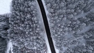 Panoramic winter view from above over the forest. Cinematic winter snowy rural asphalt road with cars driving through snowy forest. Forests covered with snow. Cinematic winter frosty landscape.