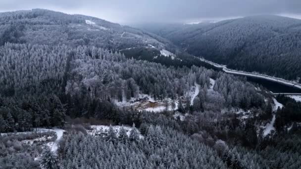 Panoramic Winter Drone View Mountains Forest Cinematic Winter Snowy Forest — Vídeo de Stock