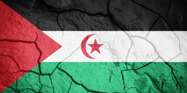 Flag of  Sahrawi Arab Democratic Republic. Sahrawi symbol. Flag on the background of dry cracked earth. Sahrawi Arab Democratic Republic flag with drought concept