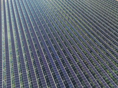 Greenhouse for growing vegetables with mounted photovoltaic panels