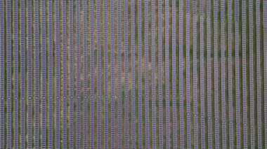 Ekoloji güneş enerjisi enerji panelleri günbatımı manzarasında yeşil enerji elektriksel yenilik doğa ortamı. Fotovoltaik paneller alanı