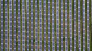 Ekoloji güneş enerjisi enerji panelleri günbatımı manzarasında yeşil enerji elektriksel yenilik doğa ortamı. Fotovoltaik paneller alanı