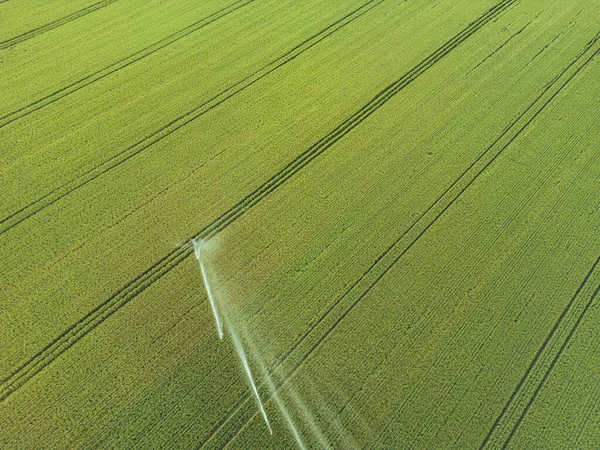 Die Pflege Der Ernte Luftaufnahme Des Bewässerungssystems Für Die Landwirtschaft — Stockfoto