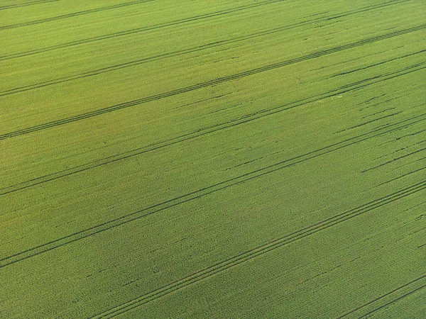 Mengurus Tanaman Pemandangan Udara Dari Lahan Pertanian Yang Luas Ladang — Stok Foto