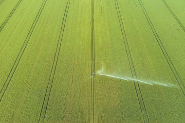 Mahsulle ilgileniyorum. Tarım ve tarım arazileri için havadan sulama sistemi